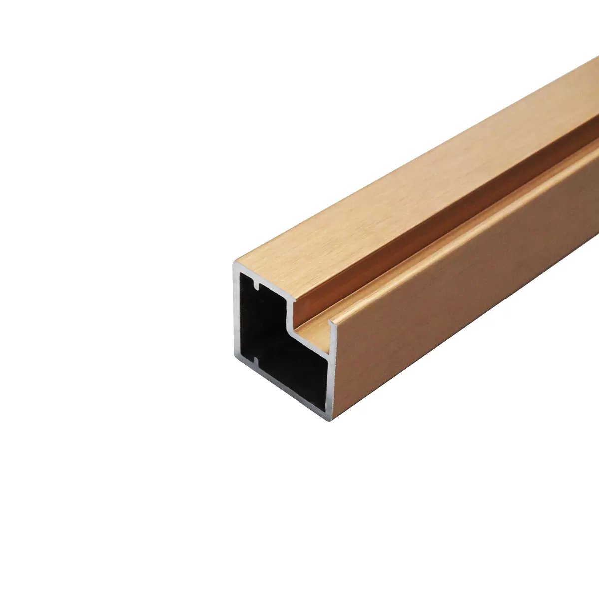 RAM 1007 profil AL BZ